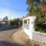 Hotel Guardería para perros Amakat cat hotel en Córdoba