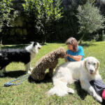 Hotel Guardería para perros Campamendog - Tu perro feliz en La Rioja
