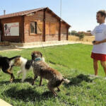 Hotel Guardería para perros Campamento de Mascotas en Toledo