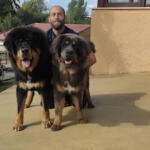 Hotel Guardería para perros Centro Canino Birutxines by Álvaro García Groomer en León