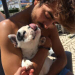Hotel Guardería para perros Como en Casa Hostel | Guardería Canina en Islas Baleares