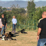 Hotel Guardería para perros ConductCan | Adiestramiento canino en Barcelona - Residencia canina en Barcelona