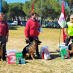 Hotel Guardería para perros De Becerrillo Centro Residencial Canino en Guadalajara
