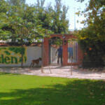 Hotel Guardería para perros Dog Garden Centro Canino en Zaragoza