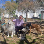 Hotel Guardería para perros Guardería de Perros y Gatos - Samsara en Granada