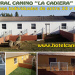 Hotel Guardería para perros Hotel Rural Canino La Cadiera en Ávila