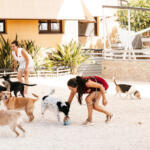 Hotel Guardería para perros KanyKat - Hotel de superlujo para perros y gatos - Residencia Canina 5 estrellas en Alicante