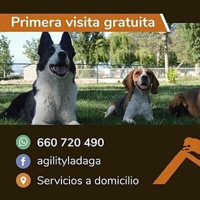 La Daga Educació i Residencia Canina (Lleida)