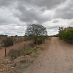 Hotel Guardería para perros Las Nubes en Badajoz