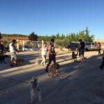 Hotel Guardería para perros Nudacan Navarra en Navarra
