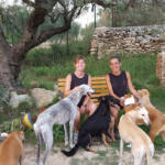 Hotel Guardería para perros Residència Canina Can Fauna en Tarragona