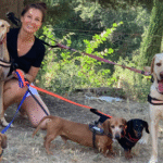Hotel Guardería para perros Residència Canina Can Llosses Barcelona en Barcelona