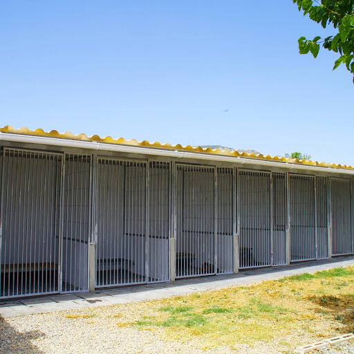 Residència Canina Pet Paradise (Tarragona)