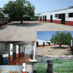 Hotel Guardería para perros Residencia Canina el hogar del perro en Badajoz