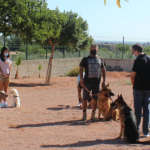 Hotel Guardería para perros Residog en Valencia