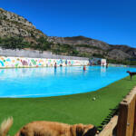 Hotel Guardería para perros Resort Animal