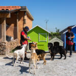 Hotel Guardería para perros Riberbox en Navarra