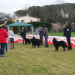 Hotel Guardería para perros Rockendall - Residència Canina en Girona