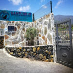 Hotel Guardería para perros Santuario Josefina Rivero y su perro Willy en Santa Cruz de Tenerife