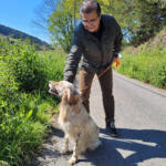 Hotel Guardería para perros SetterLarrañazubi en Vizcaya