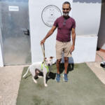 Hotel Guardería para perros Teldecan Gran Canaria en Las Palmas