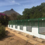 Hotel Guardería para perros VIP Kennels Tenerife en Santa Cruz de Tenerife