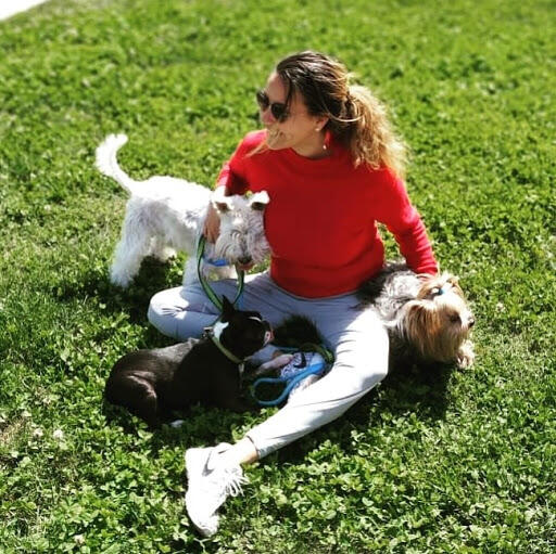 guardería canina y paseador de perros en Barcelona Dog's Mom @dogsmompaseoperrosbcn (Barcelona)